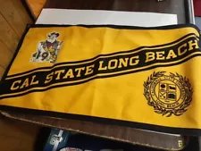 Cal State Long Beach 49ers House Banner Flag