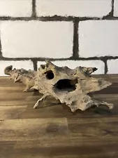 Natural driftwood, unfinished, aquarium/home decor