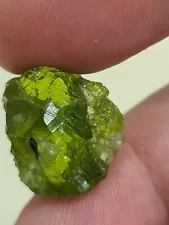 Peridot Gem Grade AAA Rough 29 Carat Specimen