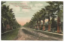 Pomona California c1907 San Francisco Avenue, palm tree lined drive