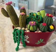 Adorable EdyArts Crochet Succulent Cactus Arrangement Potted