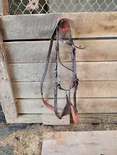 Thoroughbred Racing Bridle