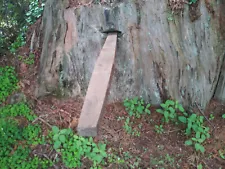 VINTAGE! REDWOOD LOGGERS / TIMBER FALLERS, "SPRING BOARD", YOU STAND ON IT!