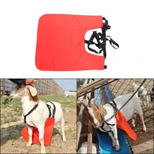 Anti Mating Anti Breeding Apron and Harness For Goats/Sheep Medium Size Red