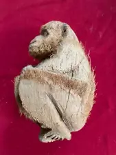 Vintage Monkey Carved from a Coconut with Husk