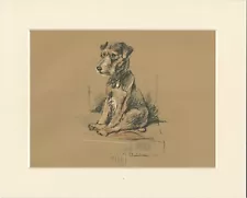 LAKELAND TERRIER ORIGINAL OLD 1937 DOG ART PRINT by MAC LUCY DAWSON MOUNTED