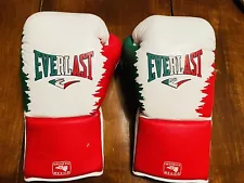 Custom Everlast MX Pro Fight Mexico Boxing Gloves 10oz (Grant Winning Reyes)