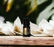 5ML doTERRA HINOKI ESSENTIAL OIL - BRAND NEW & SEALED - SUPER SALE - DISCOUNTED!