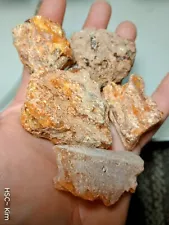 ð¥Baltic Amber Rough Raw Lithuania 20-40GR Pieces Orange Yellow Fossil Mineral