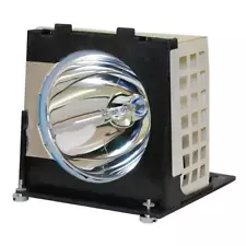 Mitsubish 915P020A10 Rear-Projection TV Lamp