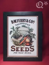 Vintage D M FERRY & Co SEEDs for Sale Here