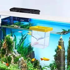 Floating Breeding Isolation Box Isolation Box for Guppy Betta