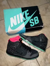 Nike Dunk Premium SB High Northern Lights RARE