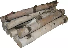 Northern White Birch Log Bundle, Natural Bark Wood Home Décor - 17"-18" in Lengt