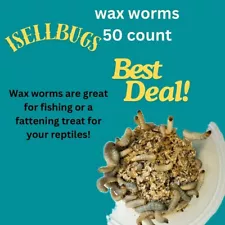 Wax Worms Live - Waxworms - 50 Count - Free Shipping