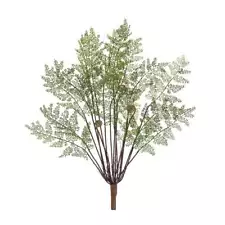 Fern Bush (Set of 2)