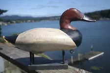 New ListingCanvasback Drake decoy by unknown (perhaps Madison Mitchell?)painted eyes, OP.