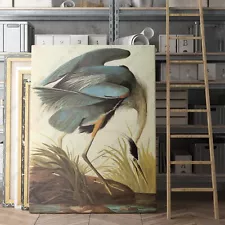 Great Blue Heron 1821 John James Audubon Birds of America Canvas Wall Art Print