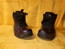 2013 Nike Air Bakin' Posite Grand Purple