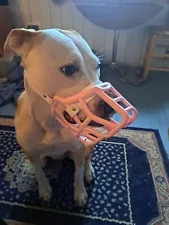 Muzzle Movement Dog Basket Muzzle Size Rex Pastel Pink