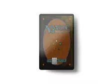 Magic the Gathering Credit Card Skin