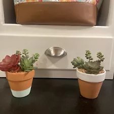 3” Pot Of Succulents Pair