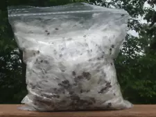 5 oz Gallon Bag Milkweed Seed Fluff Floss Wedding Flyers Decor Arts Crafts Wind