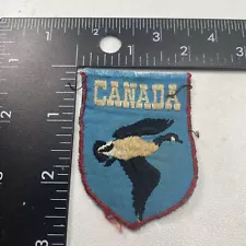 Vintage As-Is-Condition-Missing-Top-Border CANADA GOOSE Patch 32JJ