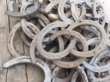 40 USED STEEL HORSESHOES ARIZONA HORSESHOES CRAFTS WESTERN DECOR