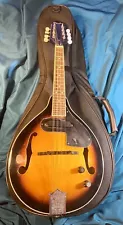 Fender FM-52E Acoustic Electric Mandolin with Gig Bag