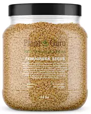 Fenugreek Seeds Whole 2.5 lbs. Jar Bulk Trigonella Foenum Graecum Methi Seed