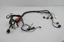 2010 Victory Hammer 8-Ball EFI ECU Engine Wiring Harness 2411044 (For: Victory Hammer 8 Ball)