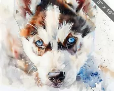 Siberian Husky puppy with striking blue eyes watercolor 8x10 Print