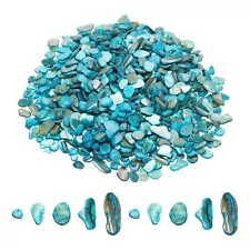 500g Crushed Shells Irregular Natural Mosaic Sea Shell Fragments Sky Blue