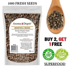 Moringa Seeds 10 oz. Wingless 1000 Semilla de Moringa Oleifera Pepas Malunggay