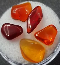 ONE Gem Round of Polished Gem Orange/Red Opal, Mexico - Minerals for Sale