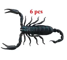 Pack of 6 Real Giant Scorpion 7” Beetle Insect Bug Entomology Taxidermy Oddity