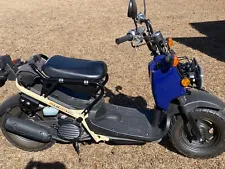 Honda Ruckus NPS50 scooter for sale