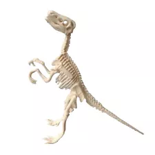 Velociraptor Dinosaur Puzzle Plastic Skeleton Model 10" Homeschool Education