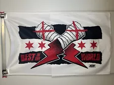 AEW CM Punk Banner Flag 58x35.5 Wrestling WWE Wrestler