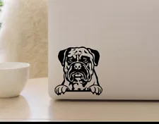 Peeking Bull Mastiff Dog Vinyl Decal for Car, Truck, or Window – Cute & Durable