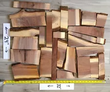 Black Walnut Cut Offs Live Edge Walnut | DIY Application Wood Crafting Cuttin...