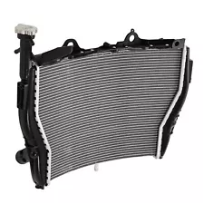 Radiator Cooler Cooling Fit For BMW S1000RR S1000 RR 2009-2018 2017 2016 2015 14 (For: 2017 BMW S1000RR)