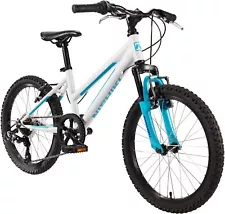 Nishiki 20 inch mountain bike pueblo