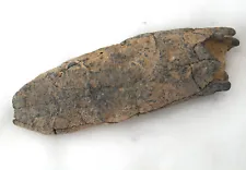 ANCIENT SEA CUCUMBER 4-1/4" LONG - RECOVERED SUMMER 2022 COOPER RIVER SC