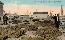 New Sponge Catch for Sale Key West Florida Unposted Postcard Made in U.S.A.