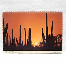 ARIZONA SUNSET SAGUARO CACTUS