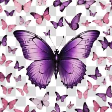 butterfly PNG Clip Art Sublimation Design Digital Download Clipart