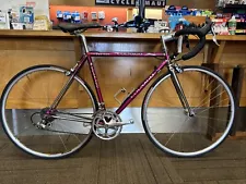 Vintage Colnago Technos/master Light Steel Road Bike 51cm