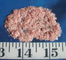 ~ CRUSHED Fairy Tellin Shells ~ Natural Pink ~ Shellcraft~ Sailor's Valentines ~